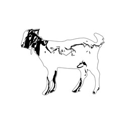 Black and white sketch of a goat with transparent background