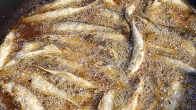 Fish fried in oil - deep frying small sprats or common bleak in hot boiling and bubbling fat.