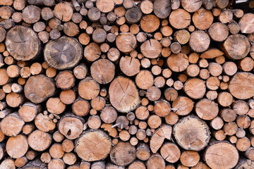 Wood logs stacked background flat with natural light for background