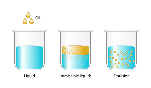 Emulsion, a mixture of two immiscible liquids (oil and water) in beakers, Emulsion oil in water, Immiscible liquids, isolated on white background. Vector illustration.