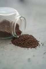 Brown Mustard Seed Close up