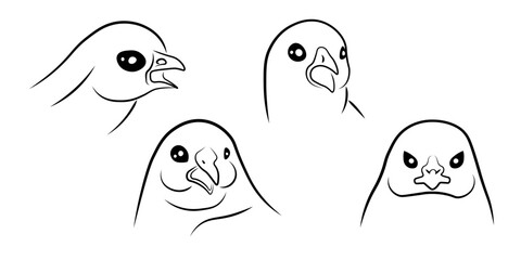 Chicken farm bird heads set collection. Isolated vector illustration. Chinese calendar 1993, 2005, 2017, 2029, 2041.