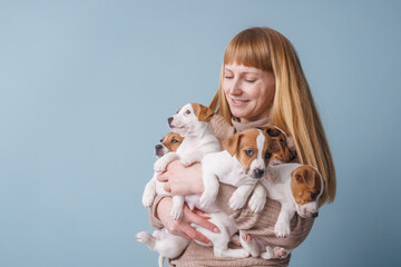girl feeding puppies jack russell terrier, animal care