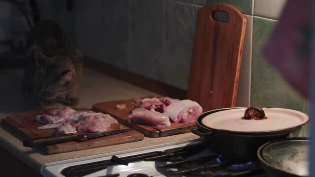 Frying chicken by the light of a kerosene lamp. Power outage, cooking. A cat eats a chicken by the light of a lantern.