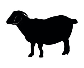 Vector flat goat silhouette isolated on white background