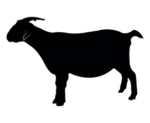 Vector flat goat silhouette isolated on white background