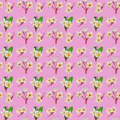 seamless pattern with plumeria