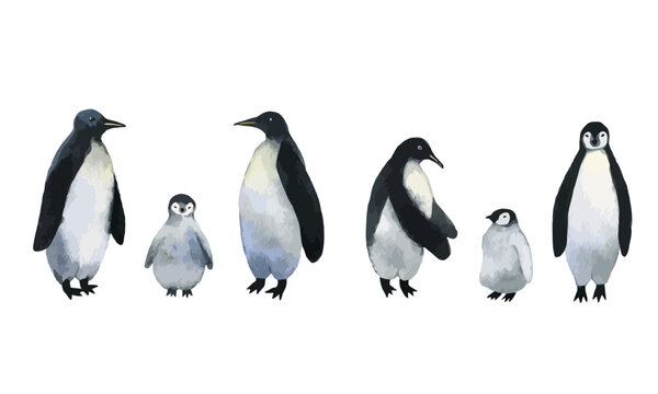Vector penguins. Collection of adults penguins with cute baby penguins. Watercolor hand drawn illustration isolated on white background.
