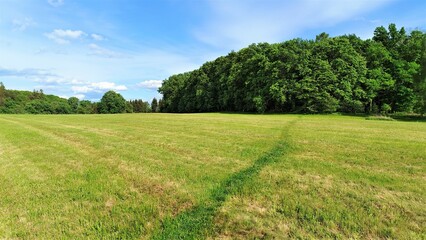 A treaded path leads across the mowed grassy meadow to the deciduous forest. In summer the weather is sunny and the sky is blue with feathery clouds