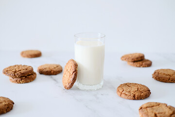 Delicious homemade cookies on a drying rack and a glass of milk