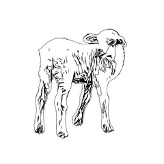 Black and white sketch of a goat with transparent background