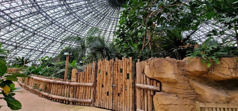 Zoo de Beauval - Dome Equatorial