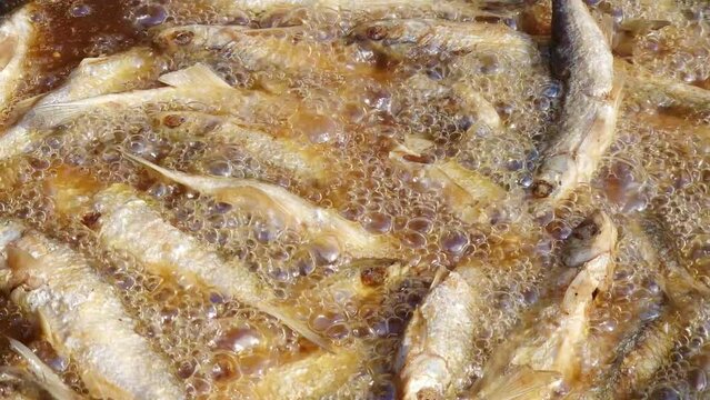 Fish fried in oil - deep frying small sprats or common bleak in hot boiling and bubbling fat.