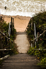 path to the beach
