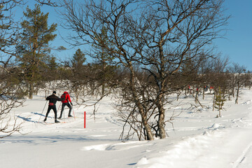 Unrecognizable people practising cross country ski