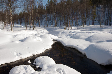Small river in a forest with snow  in winter
