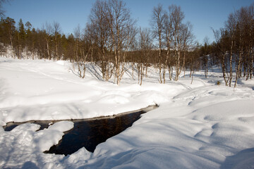 Winter landscape with snowed forest and lake