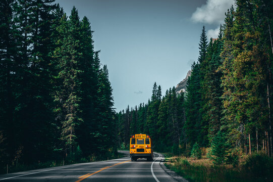 Yellow school bus on a road in the Canadian Rocky Mountains, with green trees and mountains in the background.