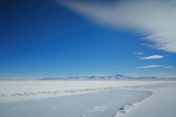 Fototapeta na wymiar Vast expanse of frozen tundra with snow-covered mountains in the distance and a clear blue sky overhead. Generative AI