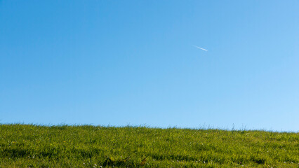 Colina de hierba y rastro de avión en el cielo © Darío Peña