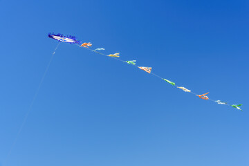 Colorful kite soars high in the sky Blue sky. Sports kite festival. Clean Monday in Greece. A flying kite with a wriggling tail. Copyspace, banner