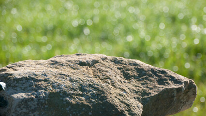 Superficie de piedra ante pradera de hierba verde brillante desenfocada © Darío Peña