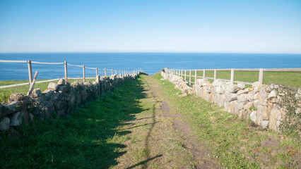Fototapeta na wymiar Camino entre praderas de hierba valladas junto al mar en Asturias