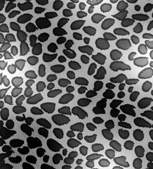 leopard skin texture