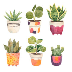 Watercolor drawing of different houseplants in pots: cactus, snake plant, Chinese money plant (pilea), aloe vera, and other. 