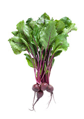 BOTWINKA
Young beetroot with fresh leaves isolated on transparent png