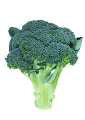 BROKUŁ
brocolli isolated on transparent png