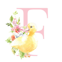 Watercolor Easter floral alphabet, cute duck spring letter F, flower bouquet illustration with peony, roses, spring greenery. Botanical monogram initials wedding stationery card, save the date, rsvp