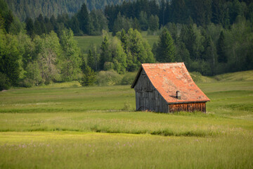 Obraz premium Farmer barn in the mountains on a green meadow - Switzerland, Canton Schwyz