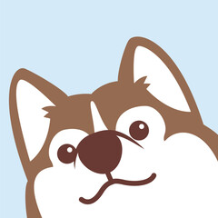Cute brown siberian husky dog face, vector illustration