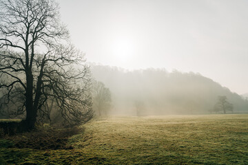 Morning misty, fog over the North Yorkshire countryside with bare trees. Sun through the haze lighting up the sky.