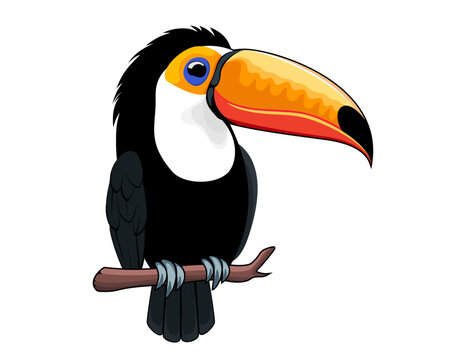 Cute Vector cartoon Toco toucan sticker