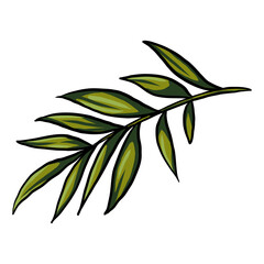 drawing isolated palm leaf, background for textile, trendy texture, wallpaper, highlight individual PNG objects.