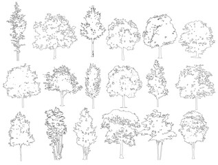 Vector illustration of tree silhouette is perfect for landscape design