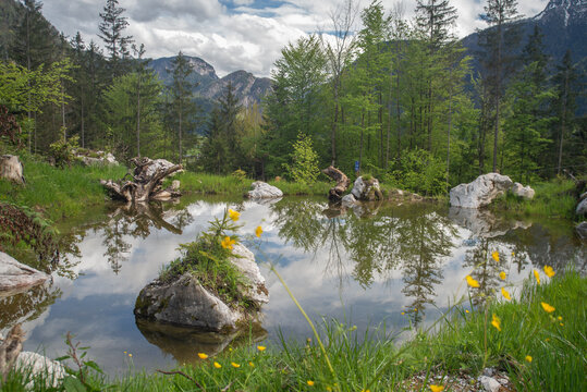 Bergsee