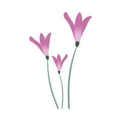 Naklejka premium Delicate bell flowers. Lilac blooming spring flowers. Beautiful flowers in a flat style. Botanical theme with white isolated background. Flowers for prints, posters, banners.