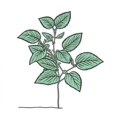 Peppermint plant one line drawing created with AI