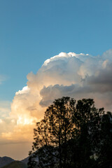Cumulus Clouds, Late Afternoon