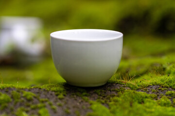 White mug, mock up, empty space for artwork, text, standing on stone, outdoors, green grass, trees, sky in the background, soft sunlight, nature