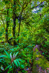 Water at the junction of Rio Buenavista and Quebrada Agriawhere its tributaries come together and the water is observed in shades ranging from aquamarine, sky-blue, light blue, turquoise, to deep blue