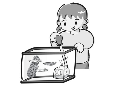 recommend clip art: メダカのお世話をする女の子（水換え）