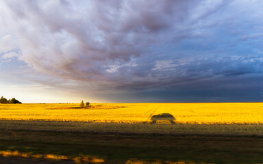 Shadow of a car driving on highway on a bright yellow agricultural field lit up by setting low sun with dramatic sky with dark clouds above