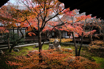 Lone person in an old structure with a garden in Japan