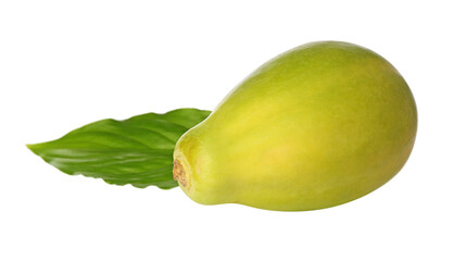 Fresh ripe papaya fruit with green leaf on white background