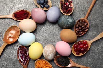 Naturally painted Easter eggs on grey table, flat lay. Turmeric, cranberries, red cabbage, onion, beetroot, blueberries, hibiscus, coffee beans and tea used for coloring