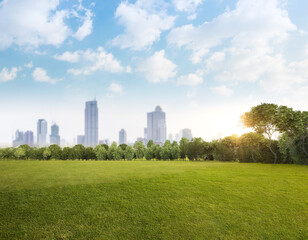 Green grass field with tree forest and cloudy blue sky